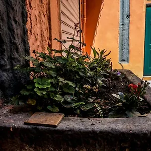  Apartment Little House